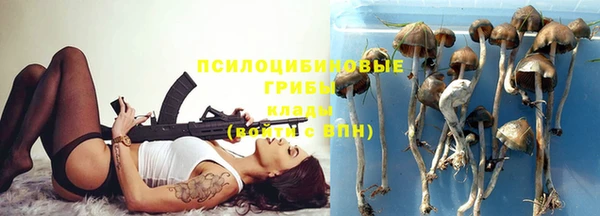 прущая мука Каменка