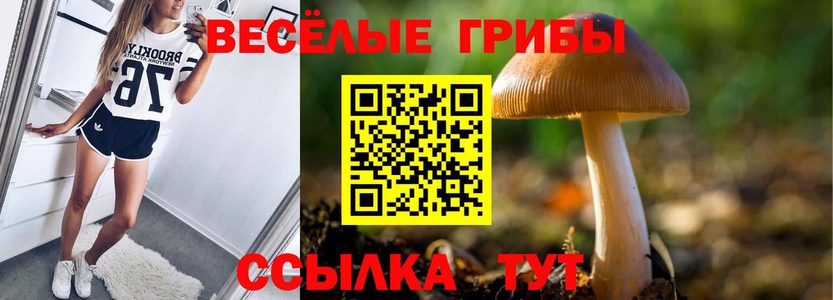 Галлюциногенные грибы GOLDEN TEACHER  Вход с VPN  Менделеевск 